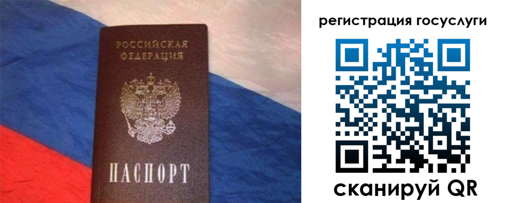 временная регистрация гарантия в Дорогобуже